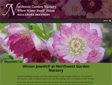 Tablet Screenshot of northwestgardennursery.com